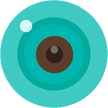 icsee logo